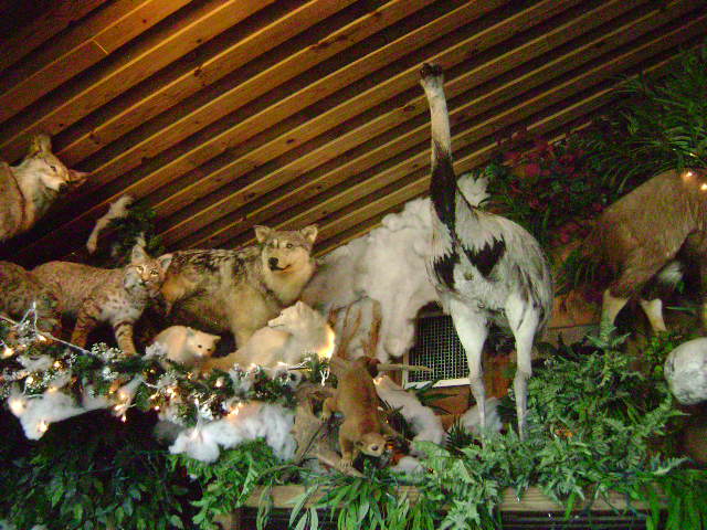 Clark's 4-20-08 012.jpg